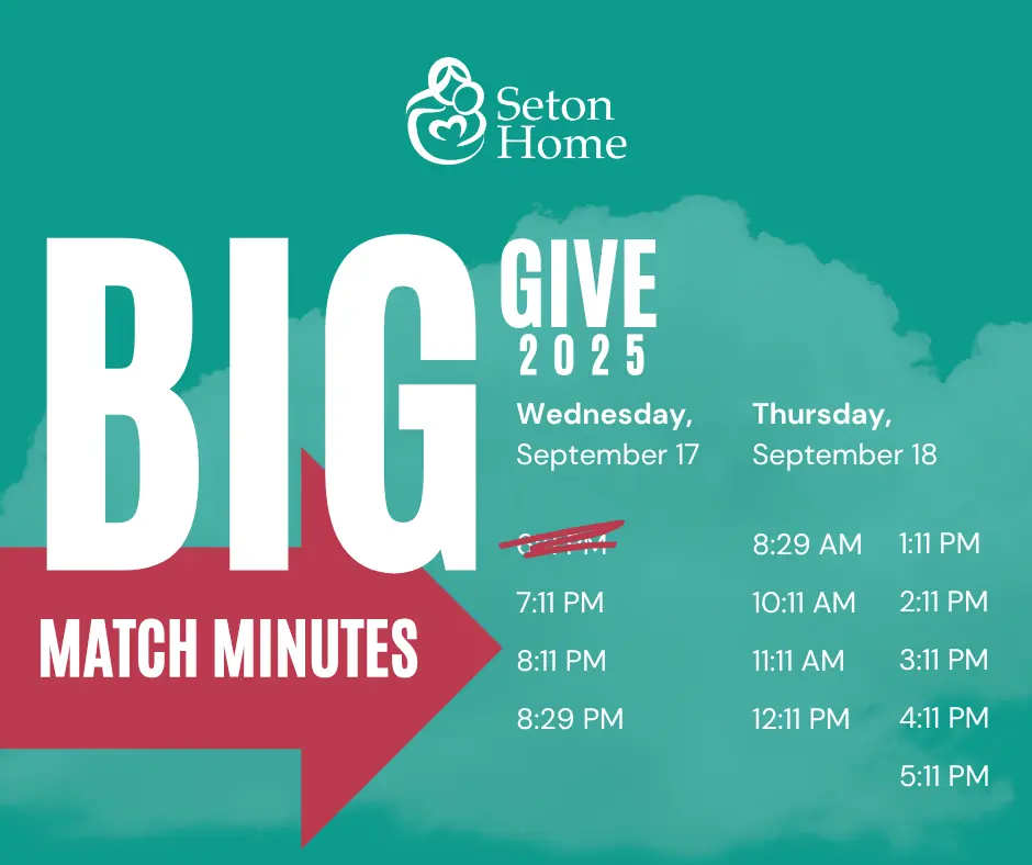 Big Give campaign slide 7 of 7